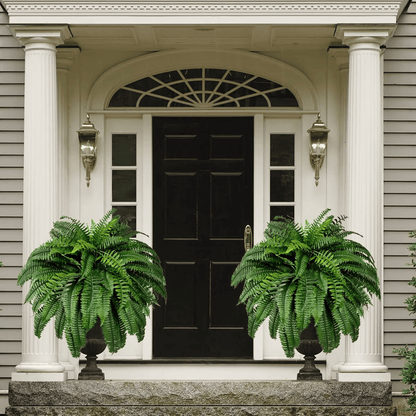 🔥🔥Last Day 75% OFF--UV Resistant Lifelike Artificial Boston Fern