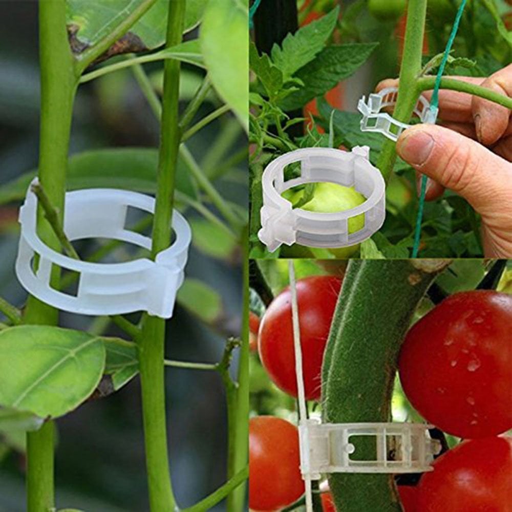 Last Day 60% OFF - Plant Support Clips