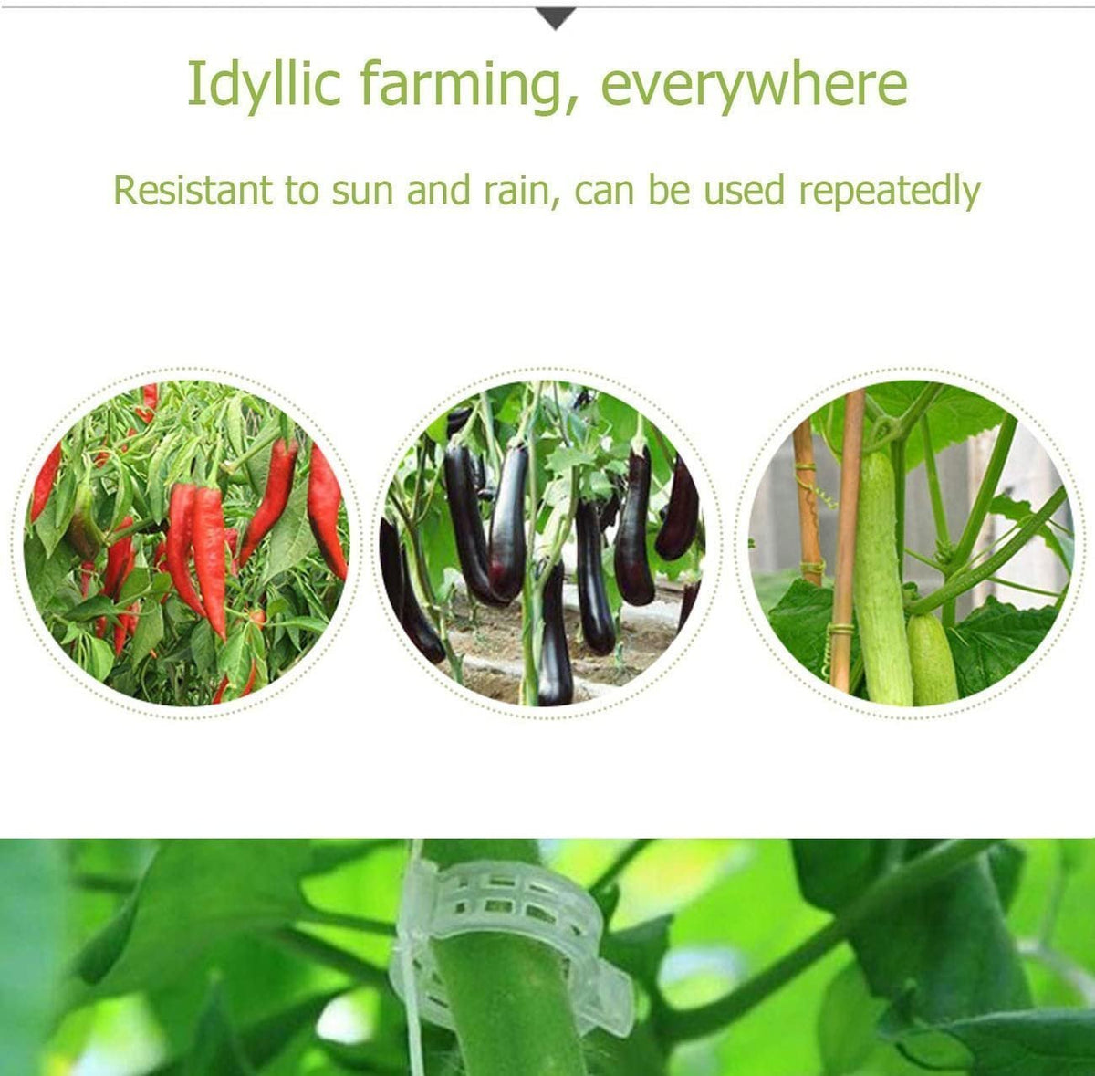 Last Day 60% OFF - Plant Support Clips