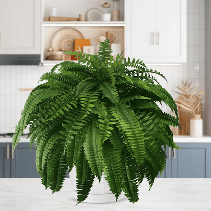 🔥🔥Last Day 75% OFF--UV Resistant Lifelike Artificial Boston Fern