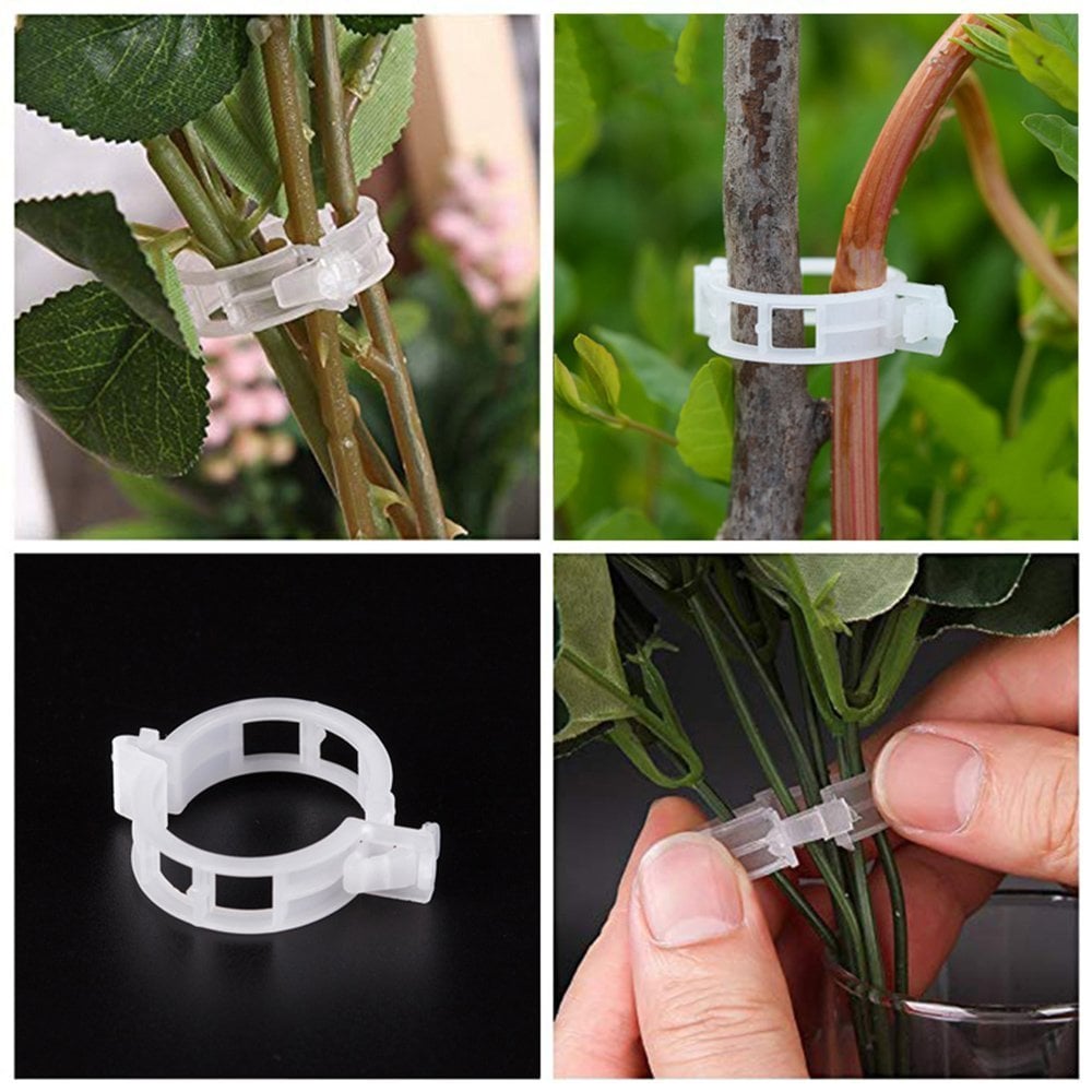 Last Day 60% OFF - Plant Support Clips