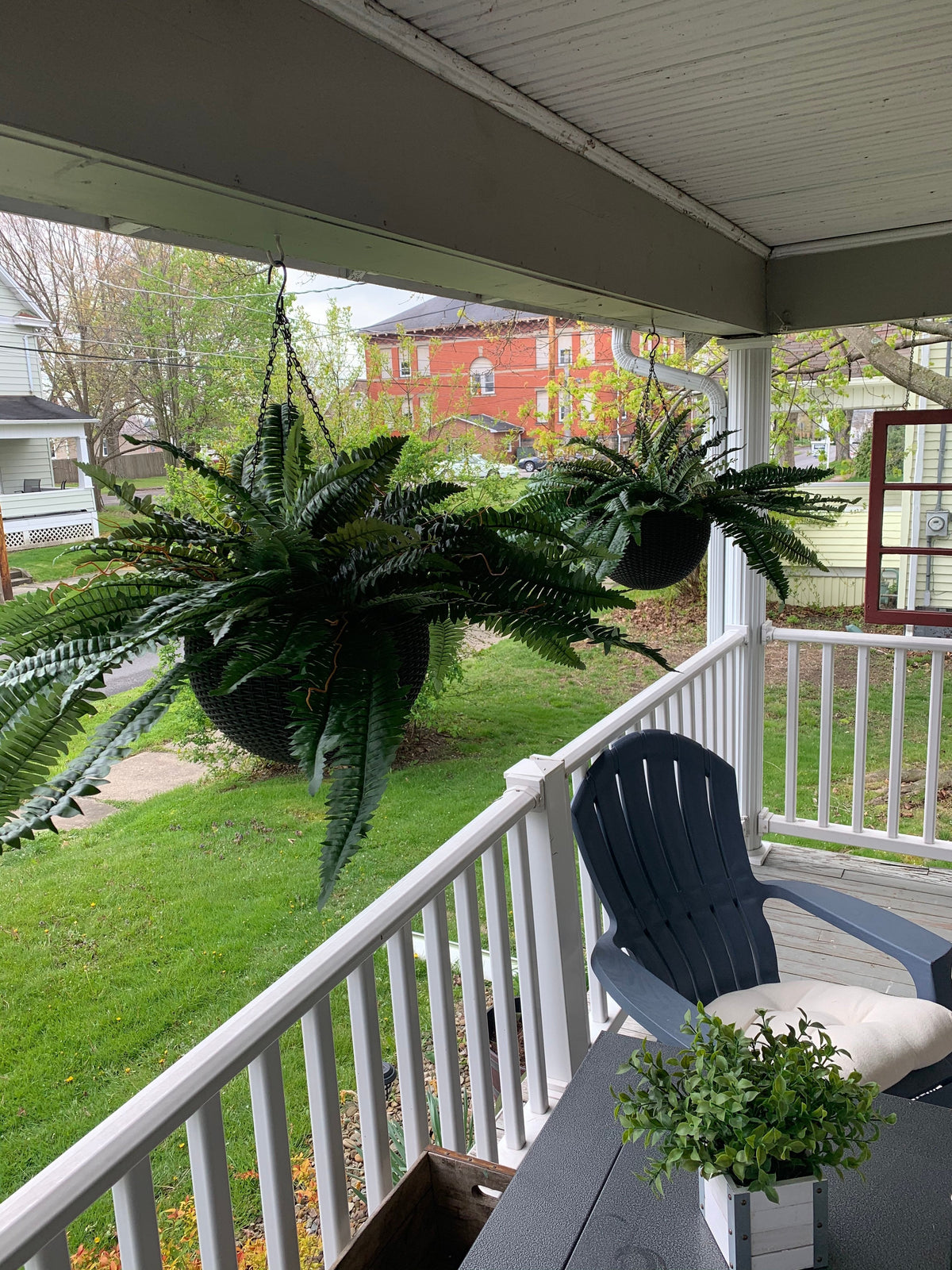 🔥🔥Last Day 75% OFF--UV Resistant Lifelike Artificial Boston Fern