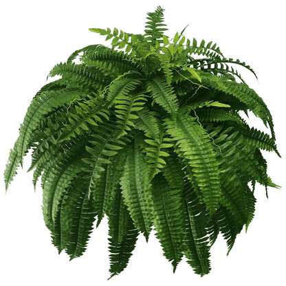 🔥🔥Last Day 75% OFF--UV Resistant Lifelike Artificial Boston Fern