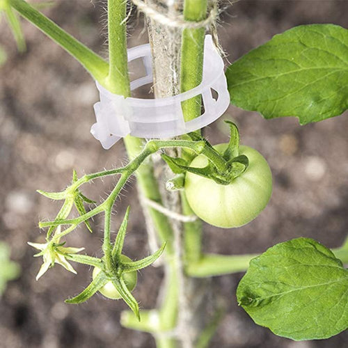 Last Day 60% OFF - Plant Support Clips