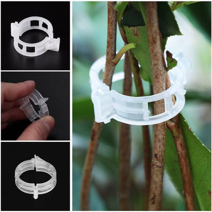 Last Day 60% OFF - Plant Support Clips