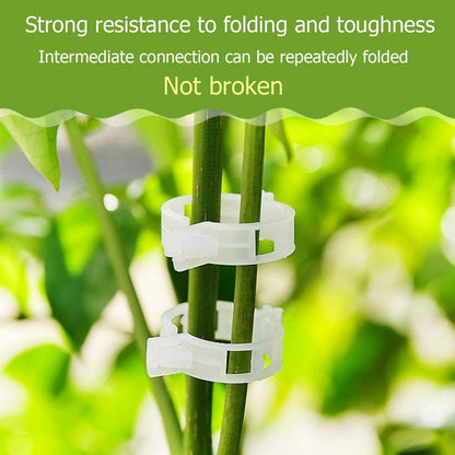Last Day 60% OFF - Plant Support Clips